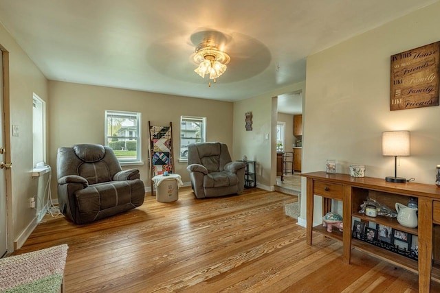 304 Mitchell St, Belleville, WI 53508 - living room with wood-type flooring, ceiling fan, and baseboards