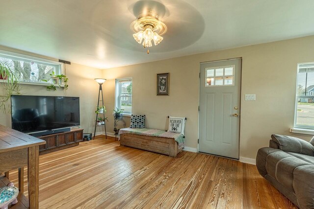 304 Mitchell St, Belleville, WI 53508 - living area with a ceiling fan, a wealth of natural light, and light wood finished floors