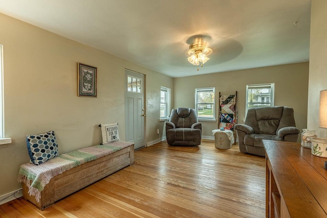 304 Mitchell St, Belleville, WI 53508 - living room featuring ceiling fan and light wood finished floors