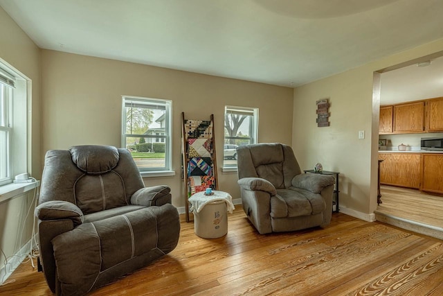 304 Mitchell St, Belleville, WI 53508 - living area featuring baseboards and light wood-style flooring