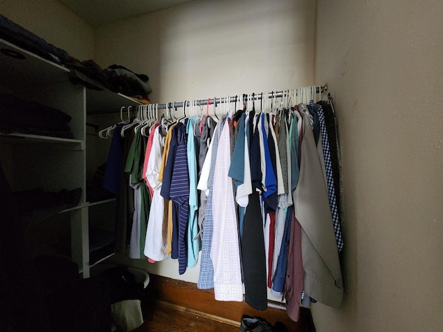 view of walk in closet