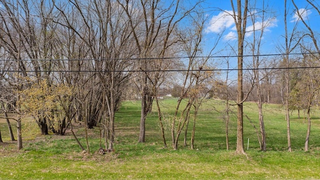 view of nature