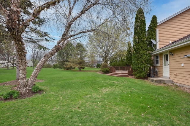 view of yard