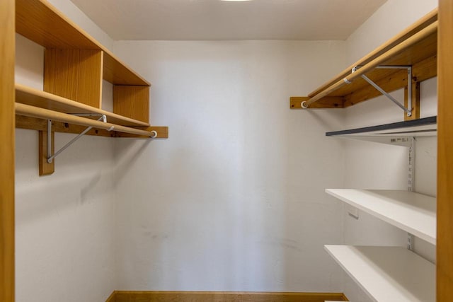4175 Twilight Ct, Oshkosh, WI 54904 - view of walk in closet