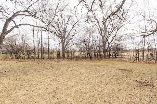 4175 Twilight Ct, Oshkosh, WI 54904 - view of yard