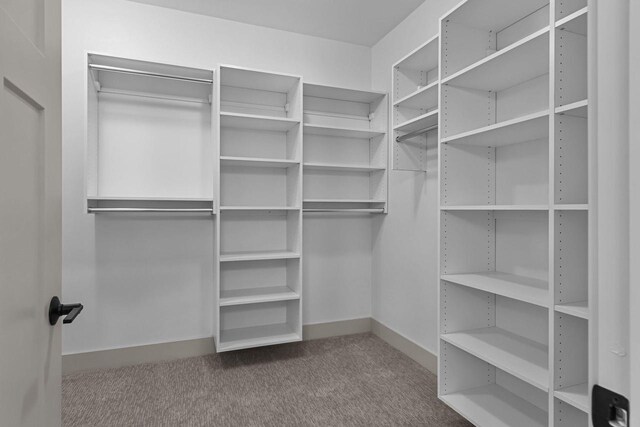 N9046 Southtowne Dr, Menasha, WI 54952 - walk in closet featuring carpet floors