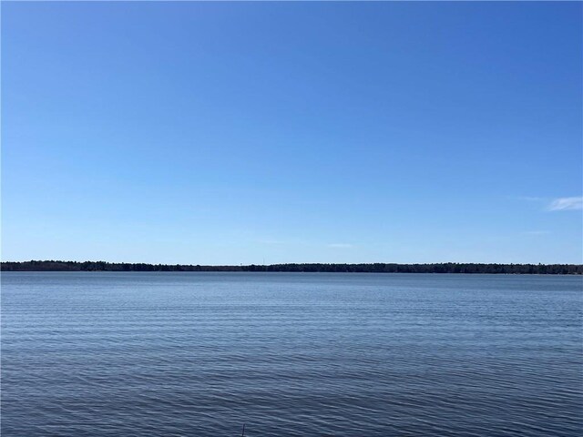 6069 Elsie Rd, Stone Lake, WI 54876 - water view