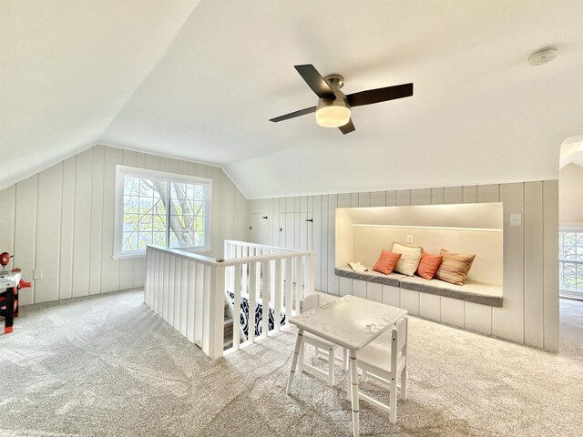 852 Sherwood Dr NW, Beloit, WI 53511 - bonus room featuring plenty of natural light, a ceiling fan, carpet, and vaulted ceiling