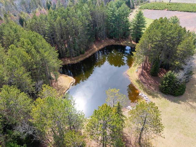 bird's eye view with a water view and a forest view