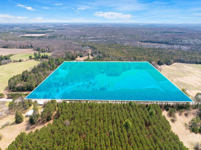 bird's eye view with a forest view