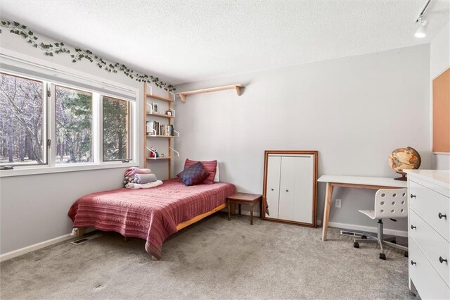 1206 Pinecrest Ln, New Richmond, WI 54017 - bedroom featuring visible vents, a textured ceiling, and light carpet
