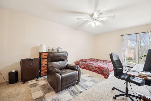 office featuring ceiling fan and carpet flooring