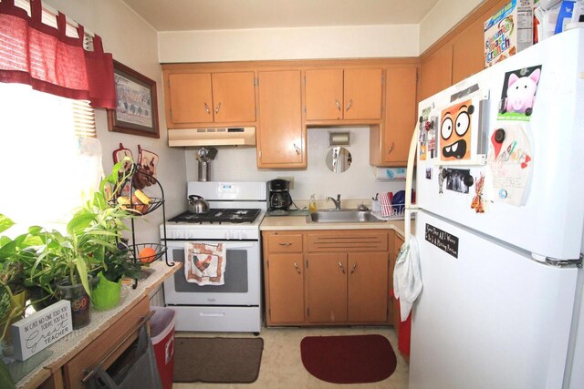 kitchen featuring white appliances, under cabinet range hood, a sink, and light countertops