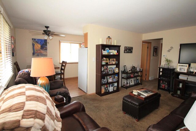 living area with a ceiling fan and carpet flooring