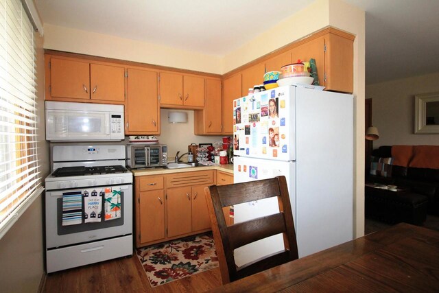 kitchen featuring a toaster, white appliances, dark wood-type flooring, light countertops, and a sink