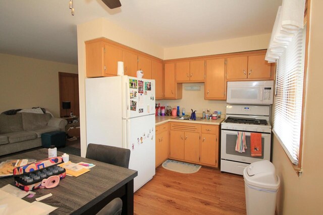 kitchen with ceiling fan, light countertops, a sink, light wood finished floors, and white appliances