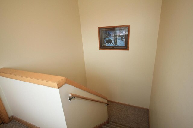 stairway with carpet floors and baseboards