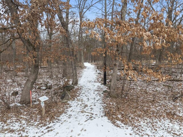 view of snow covered land