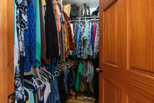 spacious closet with wood finished floors