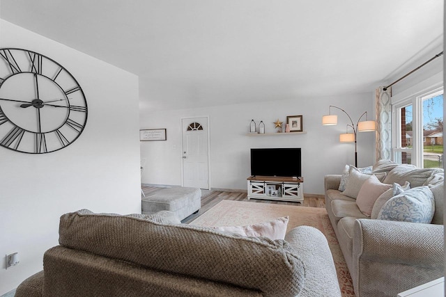 living room featuring baseboards and wood finished floors