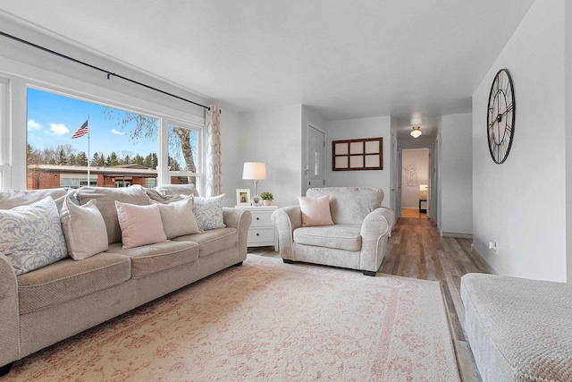 living room featuring wood finished floors