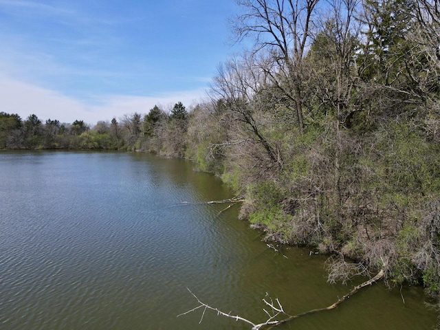 LT1 E Ottawa Ave, Dousman, WI 53118