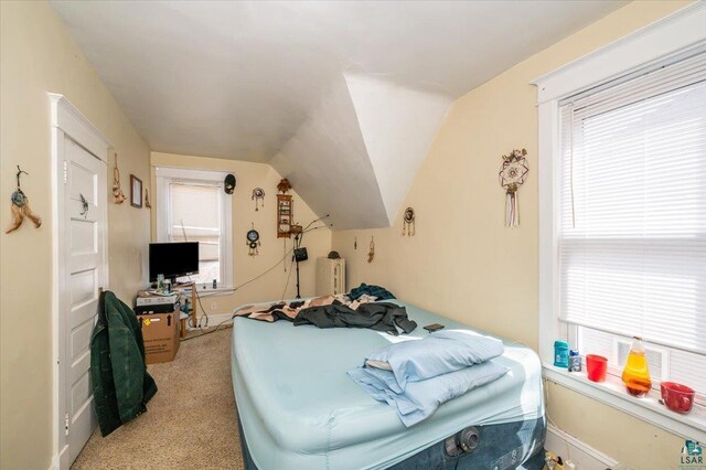 carpeted bedroom with radiator, vaulted ceiling, and multiple windows