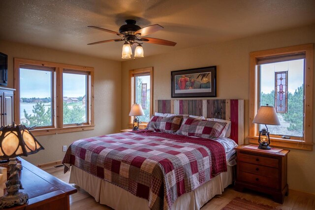 W5588 S Stone Gate Dr, New Lisbon, WI 53950 - bedroom with baseboards, light wood-style flooring, and multiple windows