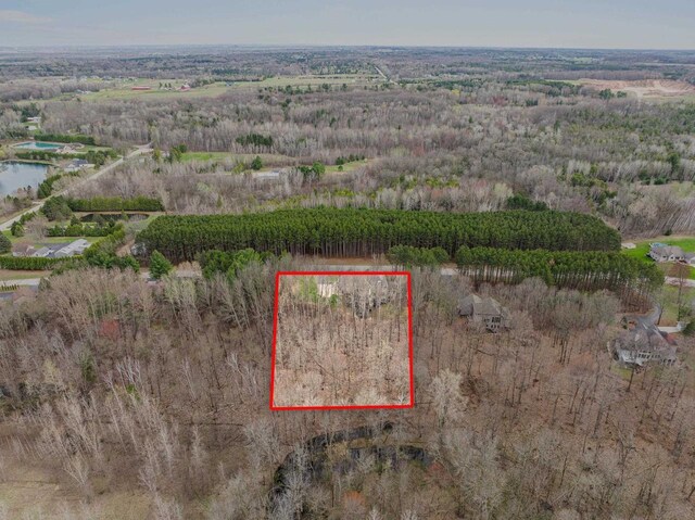 drone / aerial view featuring a rural view