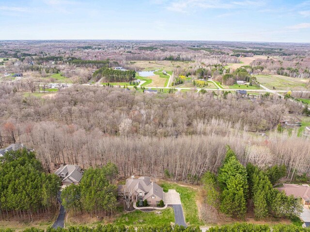 drone / aerial view
