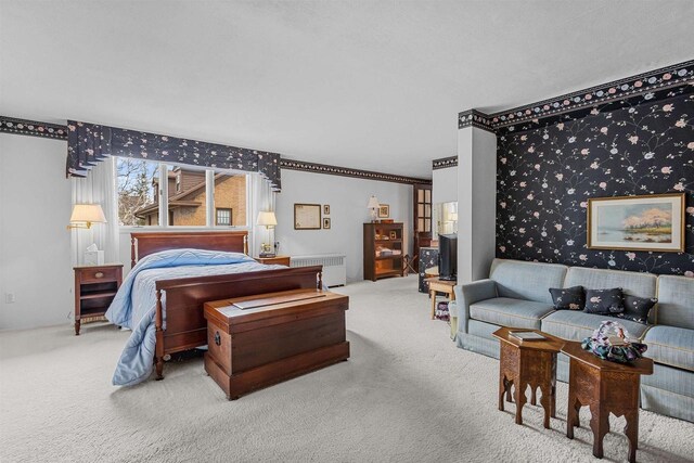 812 Milwaukee St, Kewaunee, WI 54216 - bedroom featuring radiator and carpet