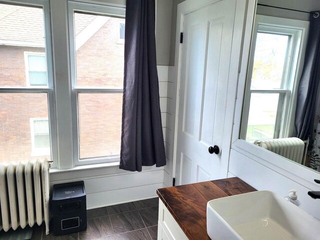 218 7th Ave, New Glarus, WI 53574 - bathroom featuring plenty of natural light, a sink, and radiator
