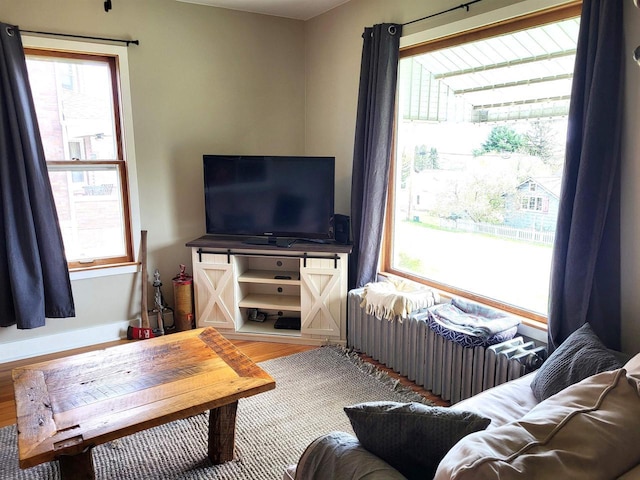 218 7th Ave, New Glarus, WI 53574 - living room with a healthy amount of sunlight and wood finished floors
