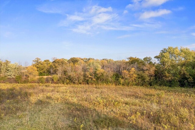 view of local wilderness with a view of trees