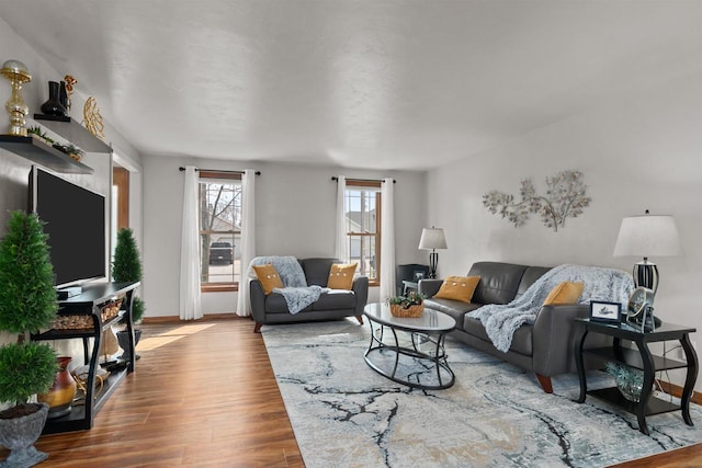 living room with baseboards and wood finished floors