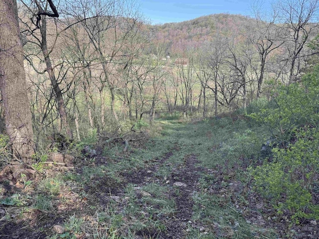 6833 State Road 80, Avoca, WI 53506