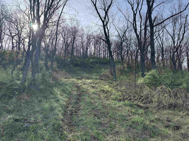 6833 State Road 80, Avoca, WI 53506