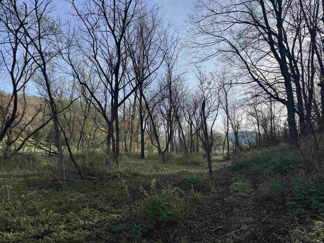 6833 State Road 80, Avoca, WI 53506