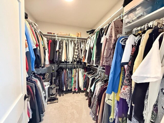 walk in closet featuring carpet