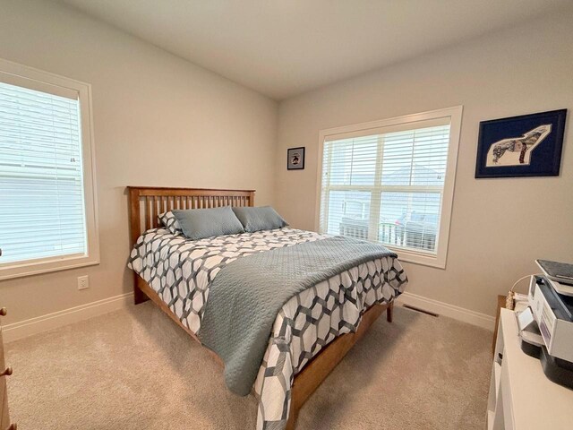 bedroom featuring baseboards, carpet, and multiple windows