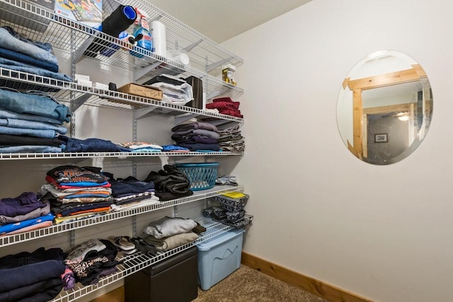 W5929 Driftwood Ln, New Lisbon, WI 53950 - spacious closet with carpet