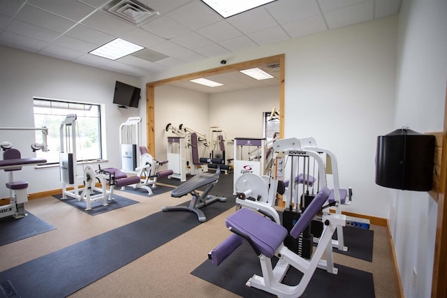 W5929 Driftwood Ln, New Lisbon, WI 53950 - workout area featuring a drop ceiling and carpet floors