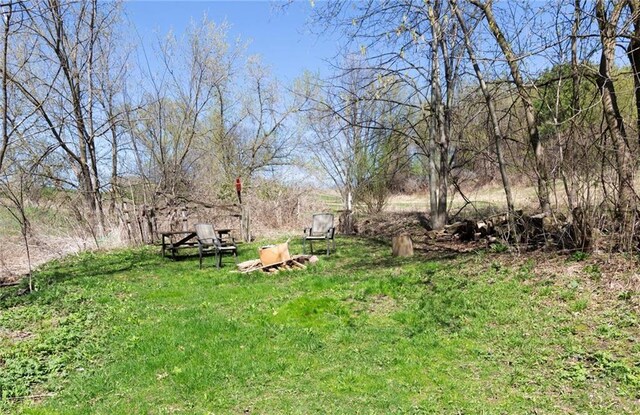 1725 Meadow Hill Dr, Menomonie, WI 54751 - view of yard