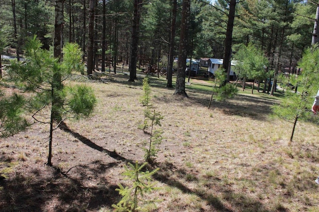 view of local wilderness featuring a wooded view