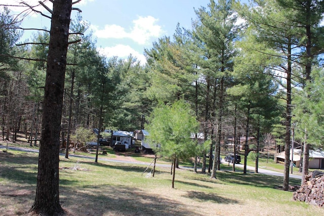 view of community with a yard