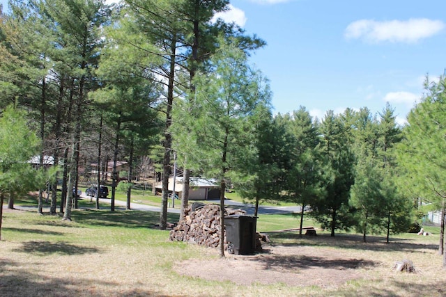 view of home's community