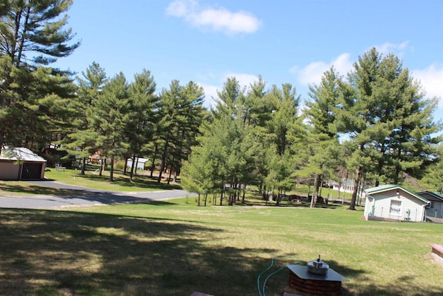 view of yard with an outbuilding