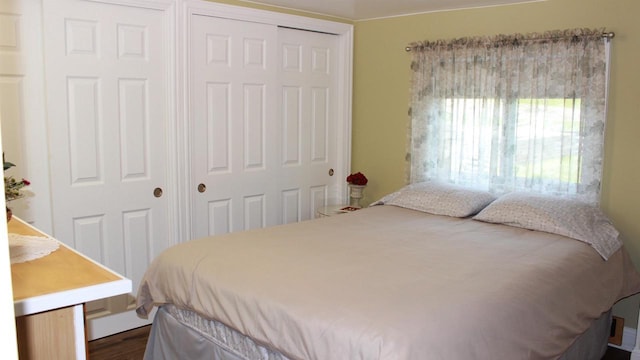 bedroom with a closet and dark wood-style floors