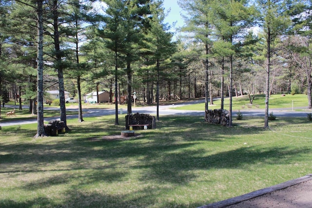 view of home's community with a yard