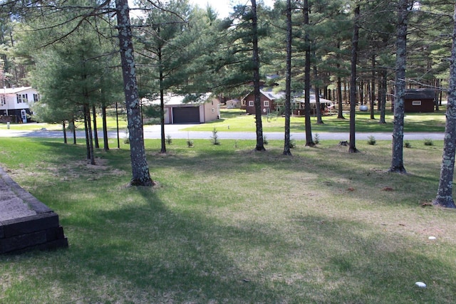 view of yard featuring an outdoor structure, concrete driveway, and a detached garage